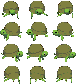 turtle